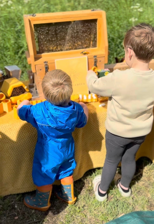 Back to Bees-ness