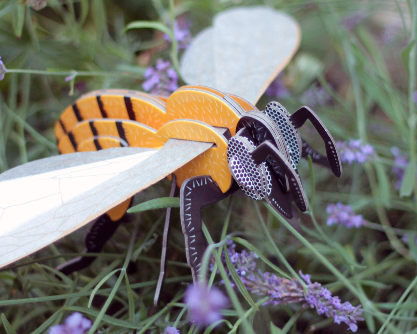 Build Your Own Honeybee